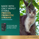 vetriscience-gut-health-chews-probiotic--3.jpg