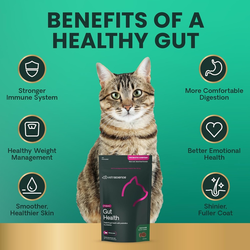 vetriscience-gut-health-chews-probiotic--4.jpg