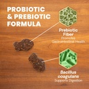 vetriscience-gut-health-chews-probiotic--5.jpg
