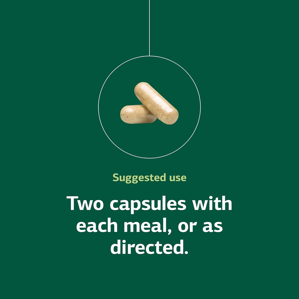 standard-process-fen-cho---digestive-gut-5.jpg