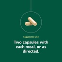 standard-process-fen-cho---digestive-gut-5.jpg