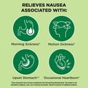 dramamine-nausea-relief-ginger-chews-lem-4.jpg