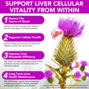 milk-thistle-liquid-drops-milk-thistle-s-6.jpg