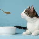 the-missing-link-pet-kelp-feline-well-be-2.jpg