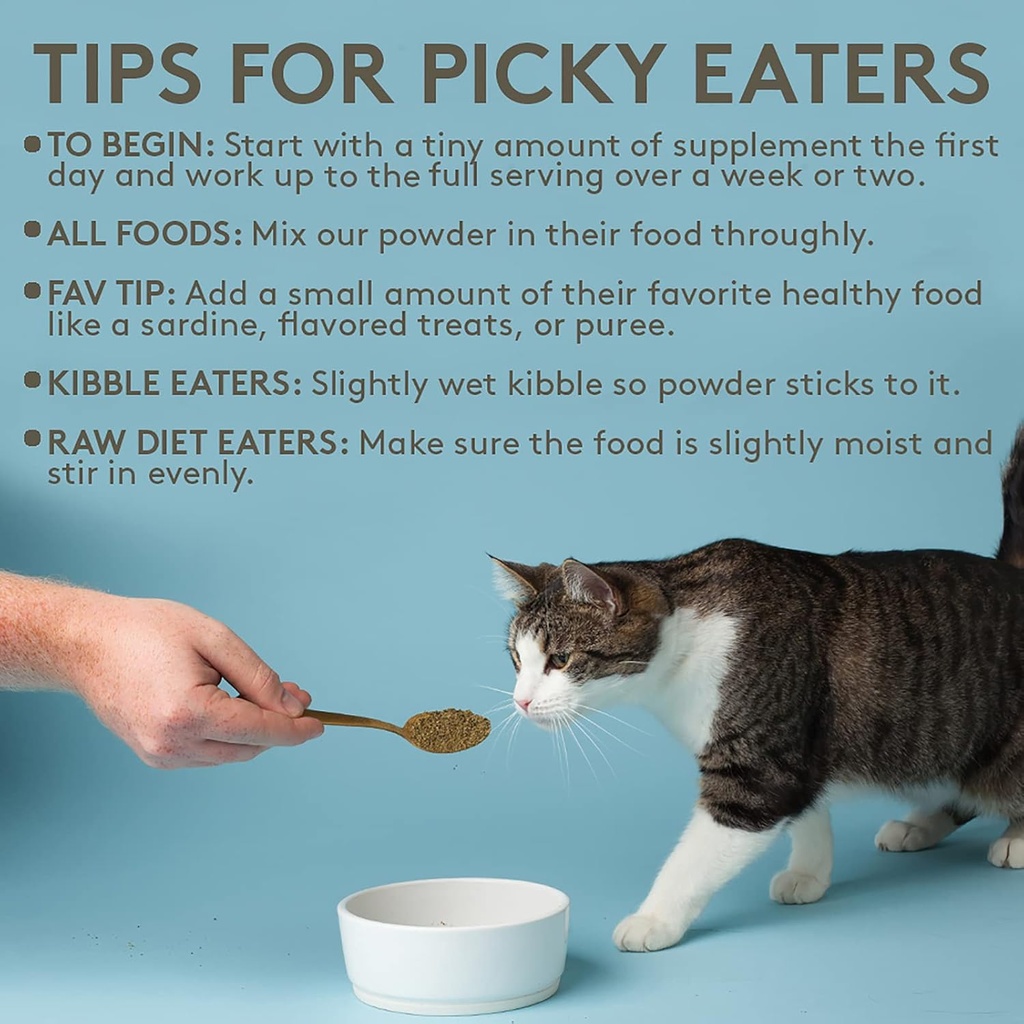 the-missing-link-pet-kelp-feline-well-be-5.jpg