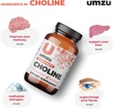 umzu-choline-supplement-for-cognitive-an-4.jpg