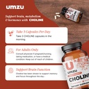 umzu-choline-supplement-for-cognitive-an-6.jpg