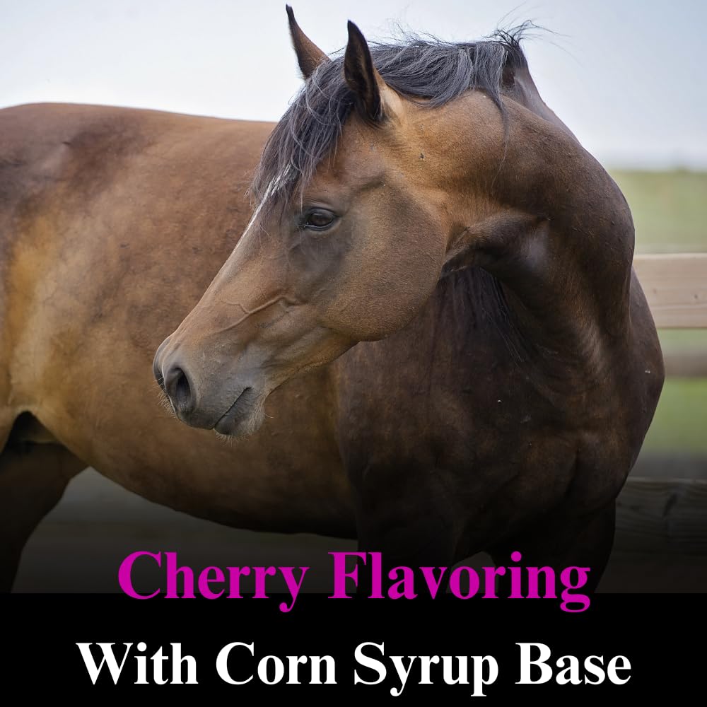 su-per-b-15-vitamin-supplement-for-horse-4.jpg