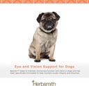 herbsmith-spector---eye-vision-support-f-2.jpg
