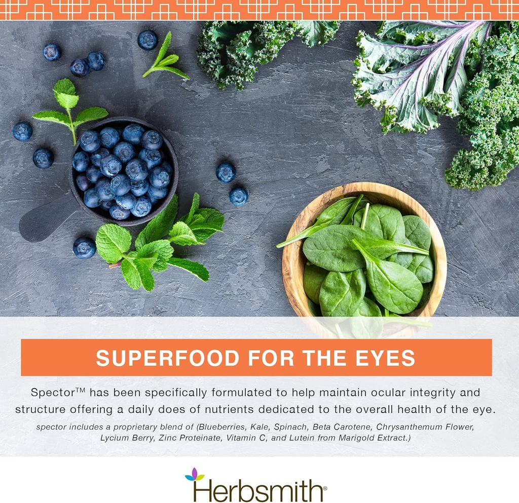 herbsmith-spector---eye-vision-support-f-3.jpg