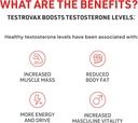 novex-biotech-testrovax-best-testosteron-4.jpg