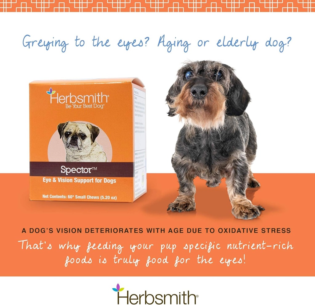 herbsmith-spector---eye-vision-support-f-4.jpg