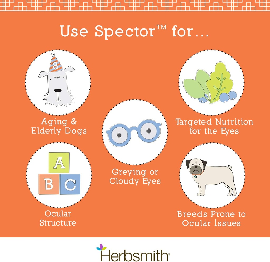 herbsmith-spector---eye-vision-support-f-5.jpg