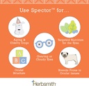herbsmith-spector---eye-vision-support-f-5.jpg