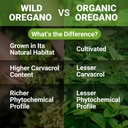 new-roots-wild-oregano-oil-liquid-drops--3.jpg
