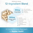bladder-pelvic-discomfort-formula-high-p-3.jpg