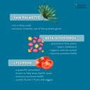 health-logics-vitality-prostate-health-f-5.jpg