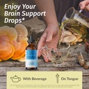 herbamama-lions-mane-tincture---vegan-li-2.jpg
