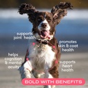 native-pet-salmon-oil-for-dogs-cats-pure-2.jpg
