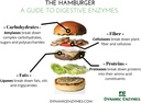 gluten-digestive-enzyme---digestive-supp-4.jpg