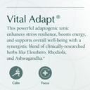 natura-health-products-vital-adapt-suppl-6.jpg