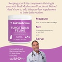 real-mushrooms-cat-supplement-powder-org-3.jpg