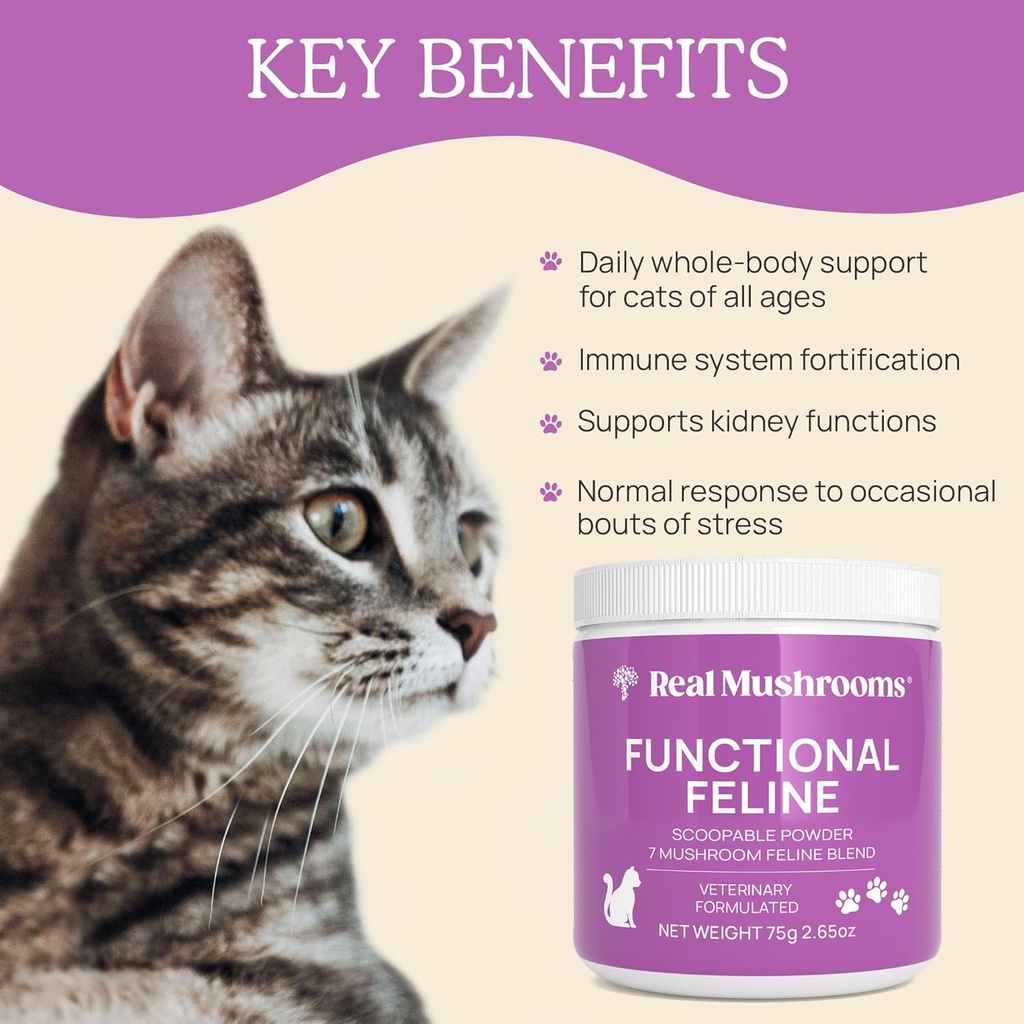 real-mushrooms-cat-supplement-powder-org-4.jpg