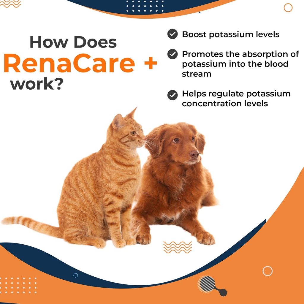 renacare-k-is-for-renal-k-potassium-gluc-3.jpg