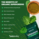 paleovalley-organic-supergreens-powder---4.jpg