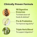 hum-flatter-me-digestive-enzymes-for-wom-4.jpg