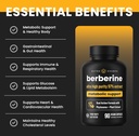 nutrachamps-liver-cleanse-detox-capsules-5.jpg