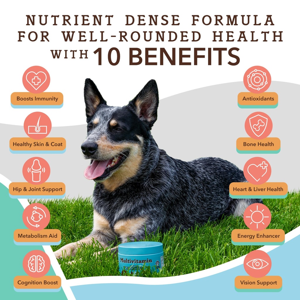 natural-dog-company-wellness-bundle-for--6.jpg