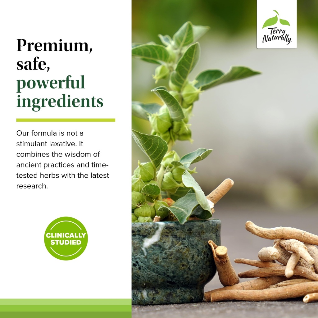 terry-naturally-ayurvedic-digestive-form-5.jpg