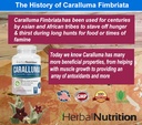 herbal-nutrition-caralluma-fimbriata-180-5.jpg