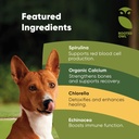 rooted-owl-blood-support---immunity-reco-3.jpg