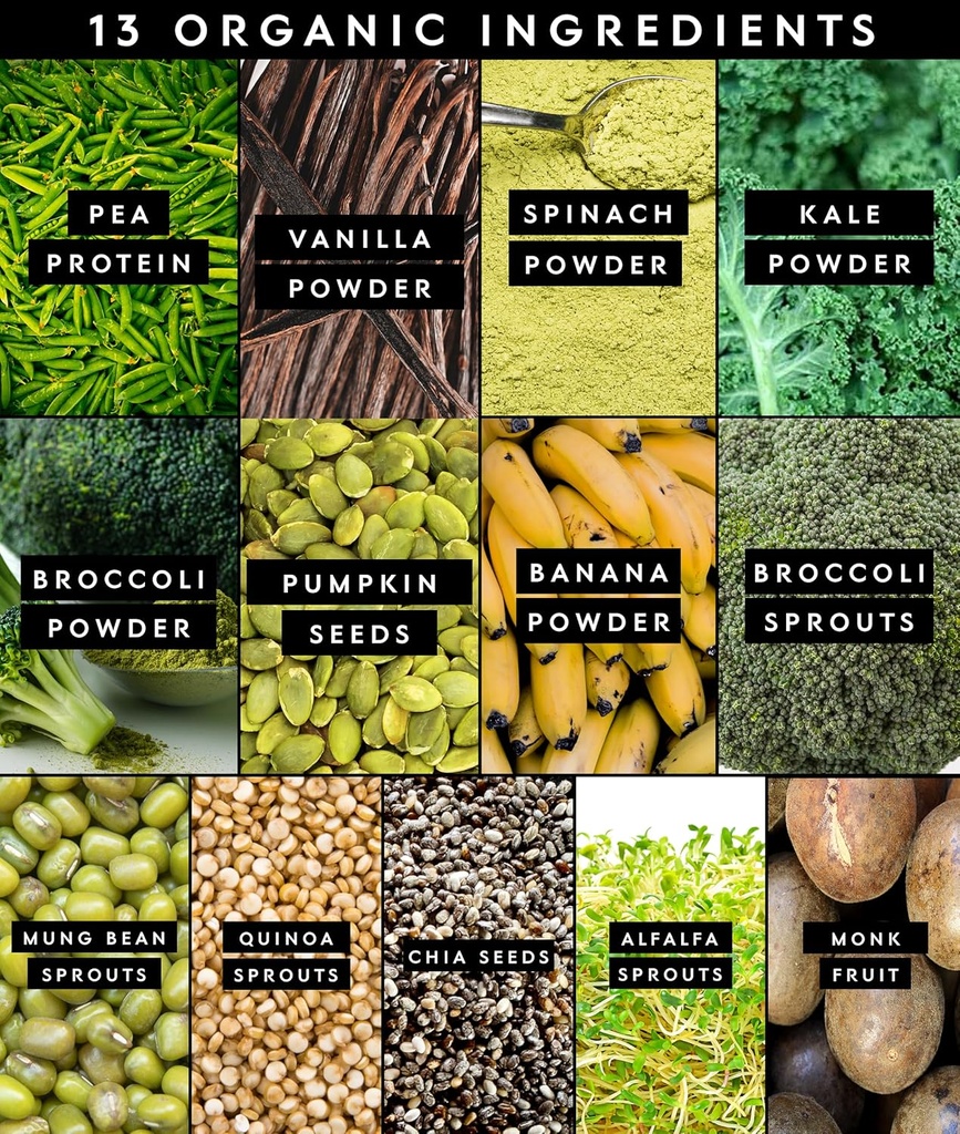 truvani-protein-greens-supplement-spinac-4.jpg