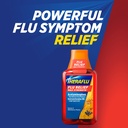 theraflu-max-strength-daytime-flu-sympto-6.jpg