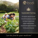 bodi-dong-quai-root-powder-4oz-to-5lb-10-5.jpg