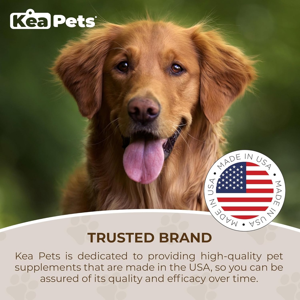 doggie-condiments-pet-respiratory-suppor-5.jpg