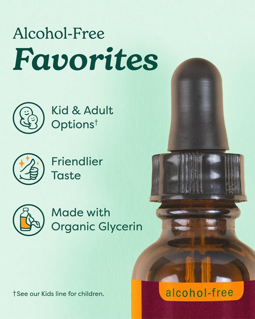 herb-pharm-lemon-balm-alcohol-free-certi-6.jpg