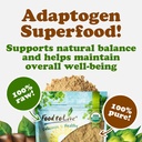 food-to-live-organic-triphala-powder-5-p-6.jpg