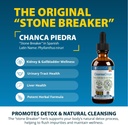 rejuvica-health-cleanse-drops---advanced-2.jpg
