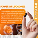 turmeric-supplement-2275mg-95-curcumin-l-4.jpg