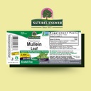 natures-answer-mullein-herb---mullein-le-2.jpg