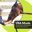 synchill-horse-calming-supplement-gel-3--2.jpg