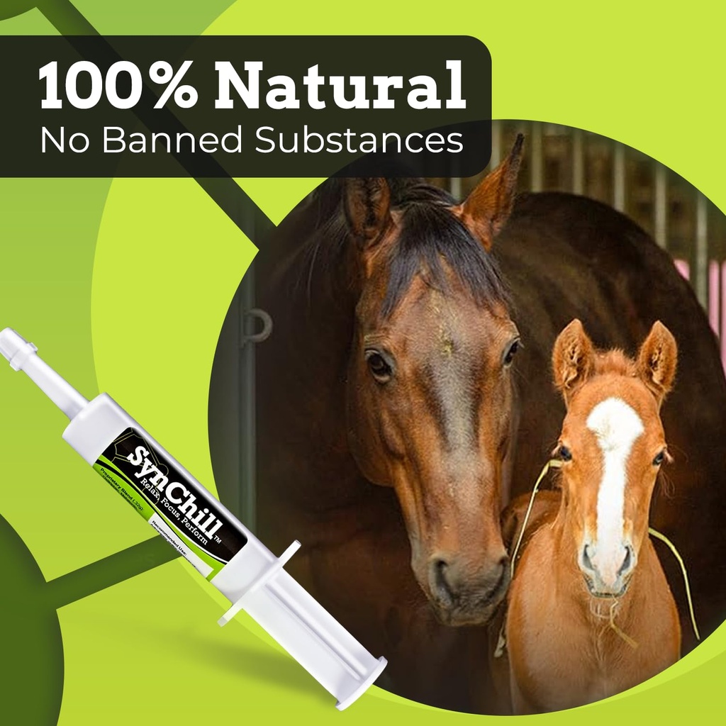 synchill-horse-calming-supplement-gel-3--3.jpg