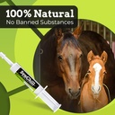 synchill-horse-calming-supplement-gel-3--3.jpg