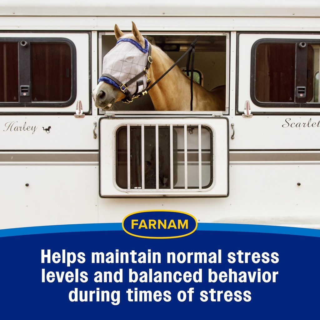 farnam-quietex-ii-horse-calming-paste-ma-6.jpg