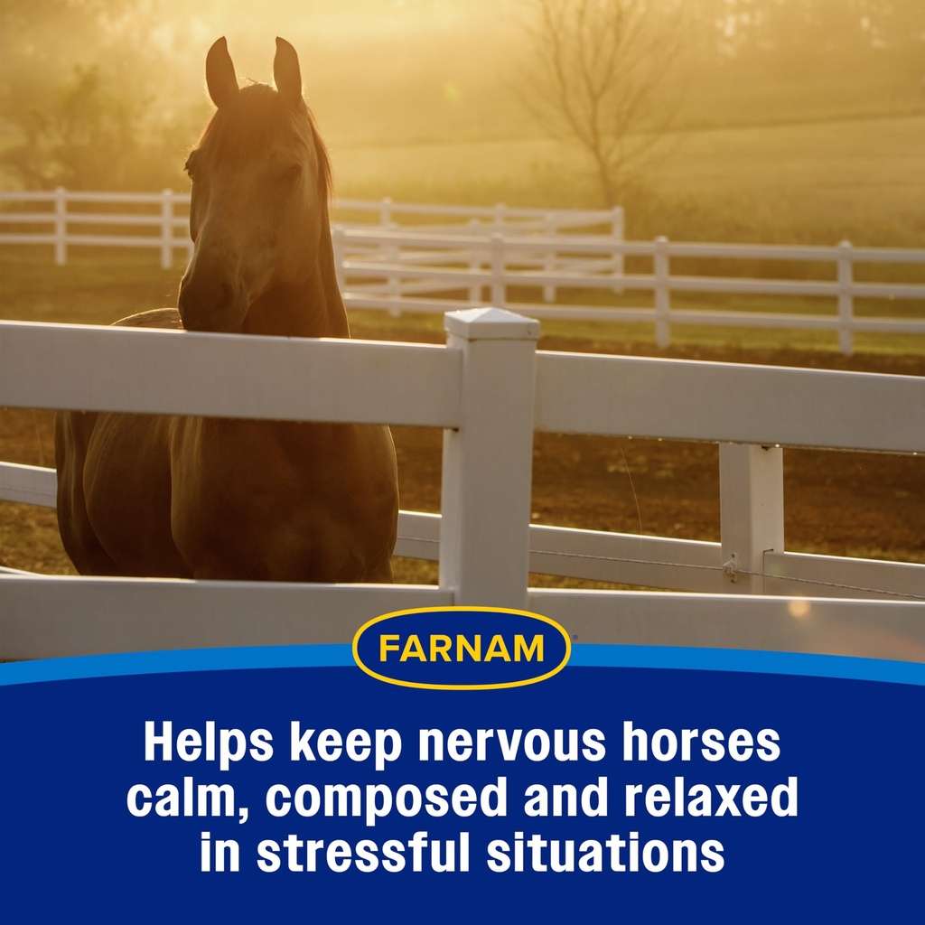 farnam-quietex-ii-horse-calming-paste-ma-5.jpg