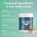 biohm-gut-brain-connection-memory-focus--2.jpg